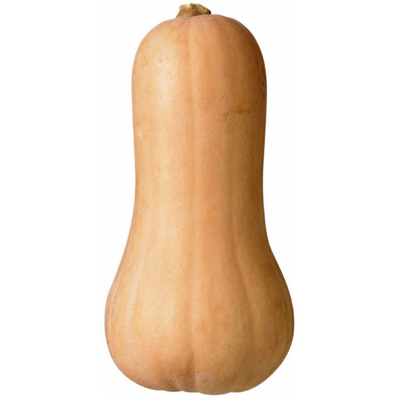 Organic Butternut squash